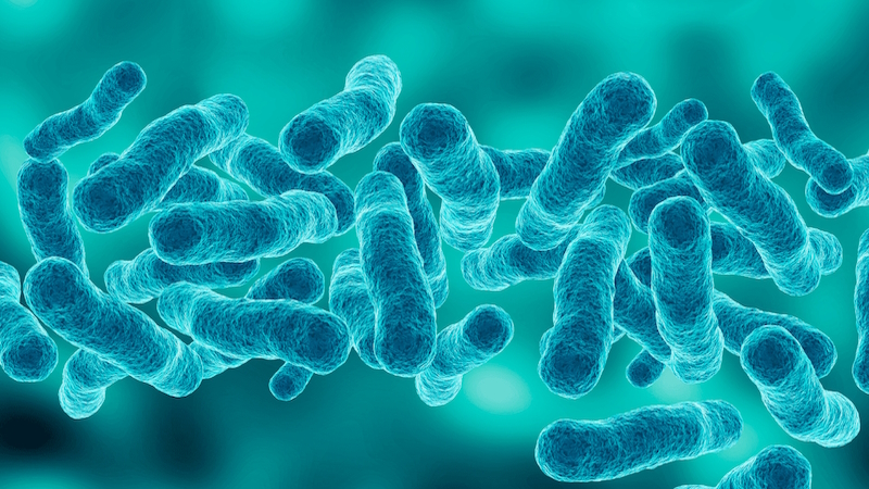 La Prevenzione della Legionella nei luoghi di lavoro