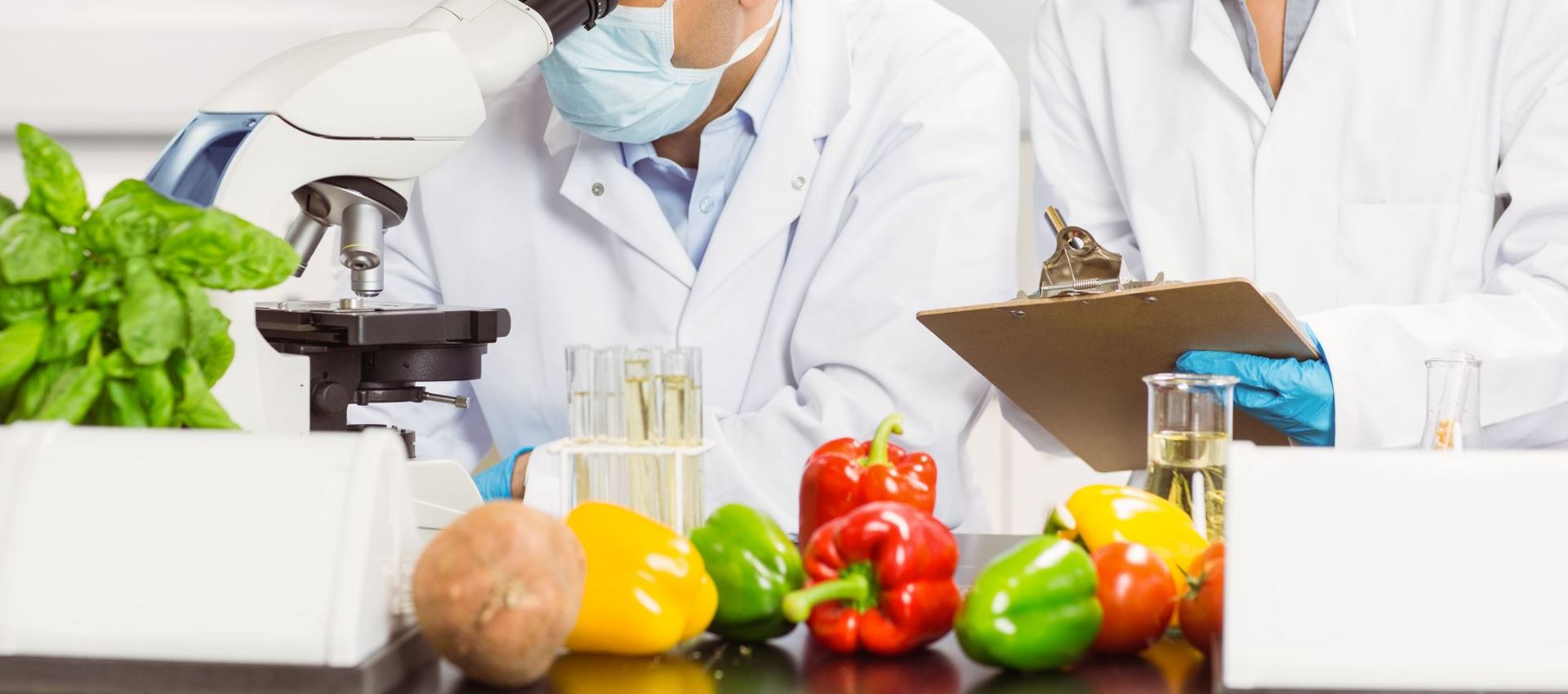 HACCP - Aggiornamento Personale alimentarista 6 ore