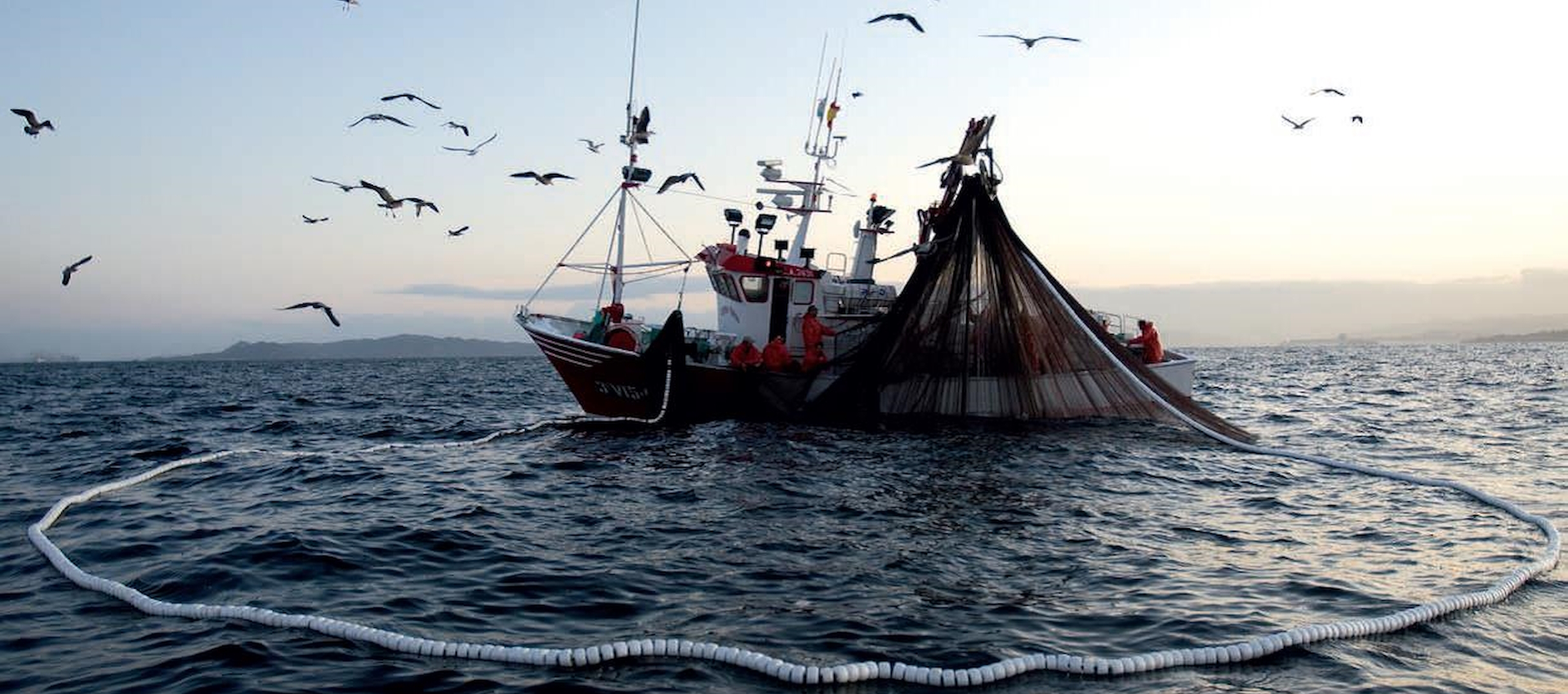 RSPP Datore di Lavoro - Modulo Integrativo 2 - Pesca