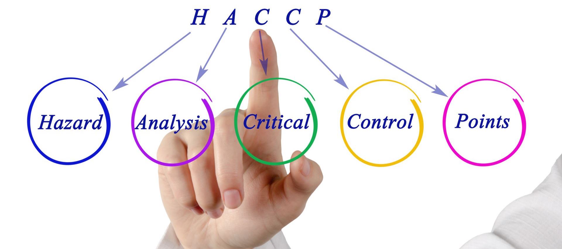 HACCP-Progetto81